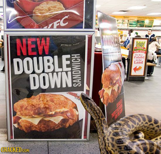 NEW k DOUBLE Falatel LAaIn DOWN