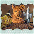 CRACKED ROUND-UP: Budget Shortage Edition