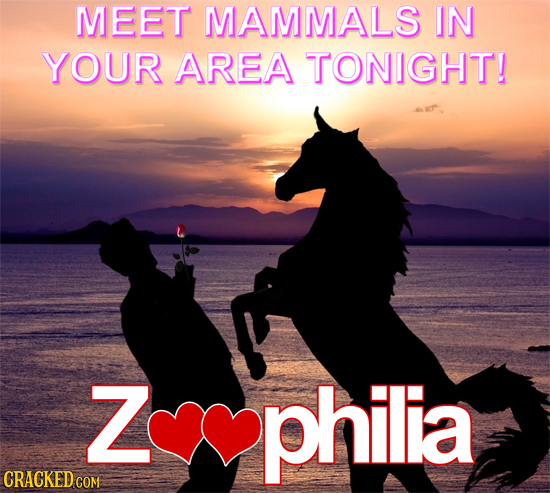 MEET MAMMALS IN YOUR AREA TONIGHT! Z philia CRACKED COM