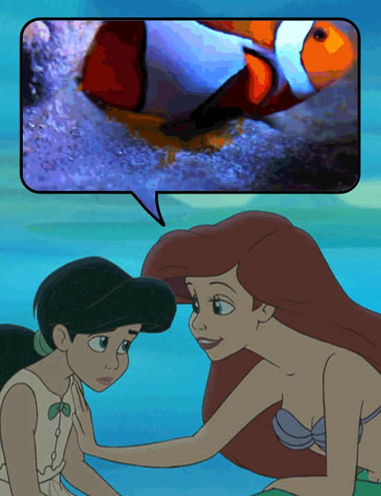 The 15 Most Terrible Pieces Of Romantic Advice Ever