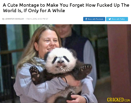 A Cute Montage to Make You Forget How Fucked Up The World Is, IF Only for A While Dy JENNIFERHANSLER FeD4.2016,6:55 PMET PM ET f Share wth Facebook Sh