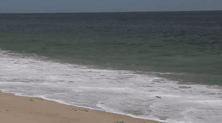 If Real Life Glitched Like Video Games