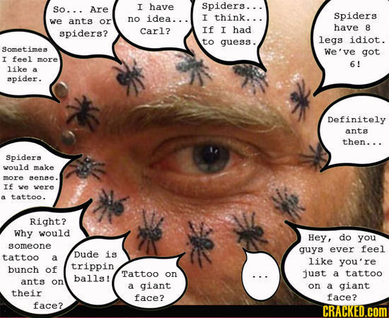 have Are I Spiders... So... idea... I think. .. Spiders we ants or no If spiders? Carl? I had have 8 to quess. legs idiot. Sometimes We've got I feel
