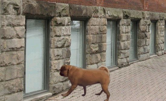 If Real Life Glitched Like Video Games