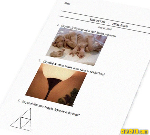 ROLOGY I01 L FIAL 0 ELAI ia) e this imap 2010 AIL or atr' Epilais ypwr 2 0 paiso) Aacondig 20 cta, is this lep of# bhin? y? 3 @0 poit) Ho MEY triamgle