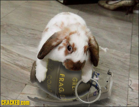 69 COMR FRAG GREE CRACKED.COM