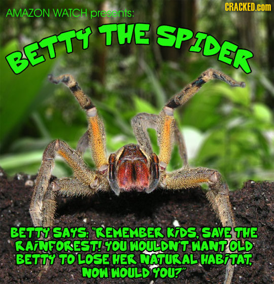 CRACKED.COM AMAZON WATCH presents: THE SPIDER BETTY BETTY SAYS: REMEMBERT KIDS, SAVE THE RAINFOREST! YOU WOULDN'T WANT OLD BETTY TO LOsE HER NATURAL
