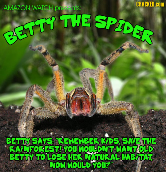 CRACKED.COM AMAZON WATCH presents: THE SPIDER BETTY BETTY SAYS: REMEMBERT KIDS, SAVE THE RAINFOREST! YOU WOULDN'T WANT OLD BETTY TO LOsE HER NATURAL 