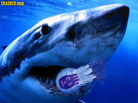 The Unhappy Aftermath of Classic Movie Happy Endings