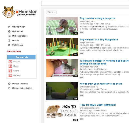 Hamster Fiters just corn, no bullishit Tiny hamster eating a tiny pizza try Apritsanimals 11 months ago 3.911.166 yeyys Whatto Watch Inspired by tirha