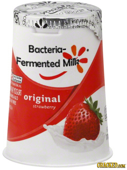 O oodn itkce vsnfldo tle ysn!PIPe 122 bu 7timhog Bacteria- Fermented Milk Coiltures ctive USA n TIOGURT NAAD original AFREE strawberry CRACKEDOON 
