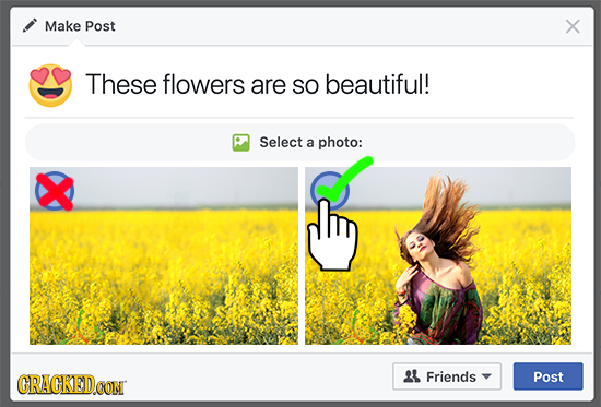 Make Post X These flowers are SO beautiful! Select a photo: CRACKEDCON 21 Friends Post
