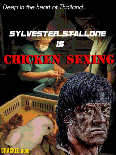 Deep in the heart of Thailand... SYLVESTER SFALLONE IS CHICKIEN SEVNG 11111111 CRACKED.cOM 