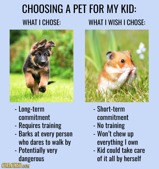 CHOOSING A PET FOR MY KID: WHAT I CHOSE: WHAT I WISH I CHOSE: - Long-term Short-term commitment commitment - Requires training - No training - Barks a