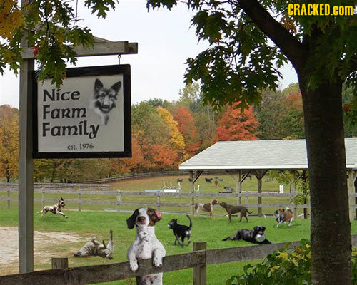 CRACKED.cOM Nice Farm Family est. 1976