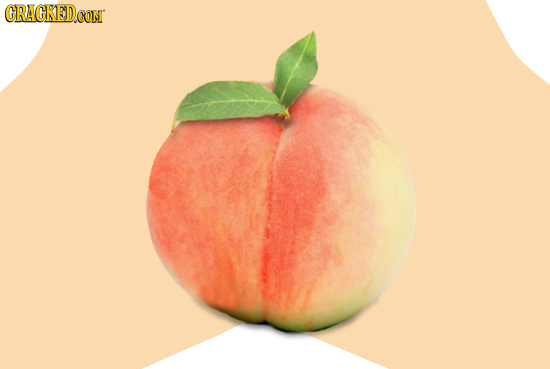 13 Images That Prove Anything Can Be Made Sexual