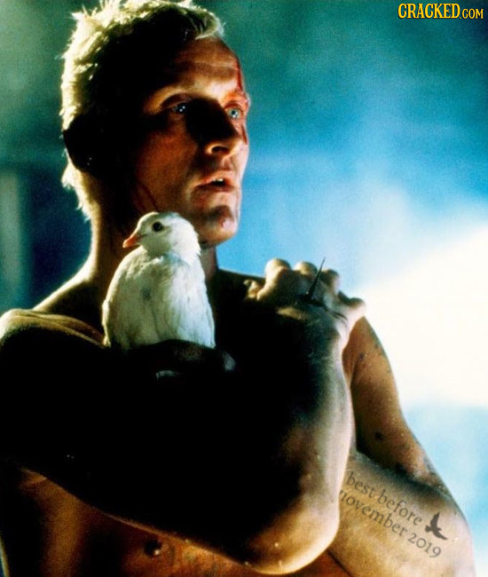 CRACKED COM best before tovember 2019