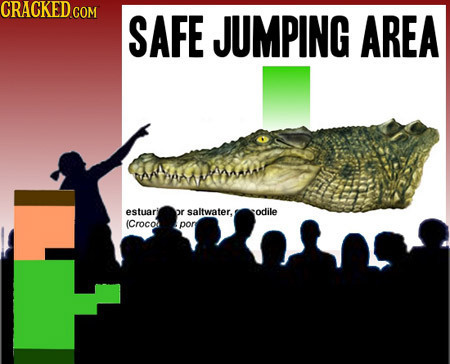 SAFE JUMPING AREA estuari or saltwater. odile (Crocol por