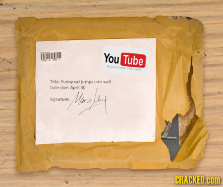 You Tube Dreusct Titile: Funny cat jumps into wall Date due: April awv 30 Man Signature: CRACKED.com