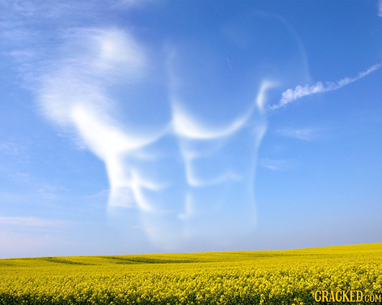 13 Images That Prove Anything Can Be Made Sexual