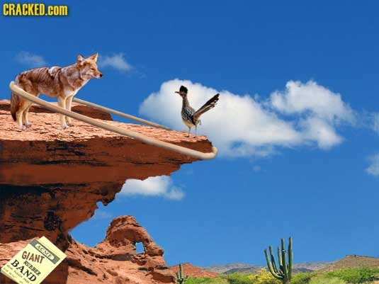 23 Situations About To Go Horribly Awry