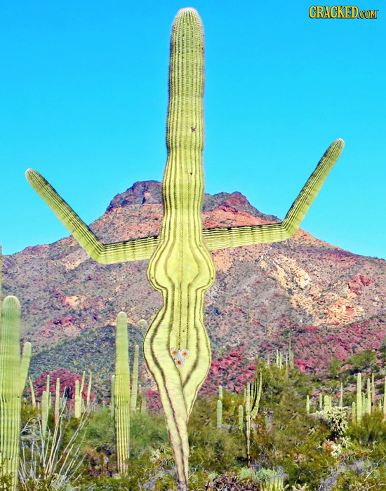 13 Images That Prove Anything Can Be Made Sexual