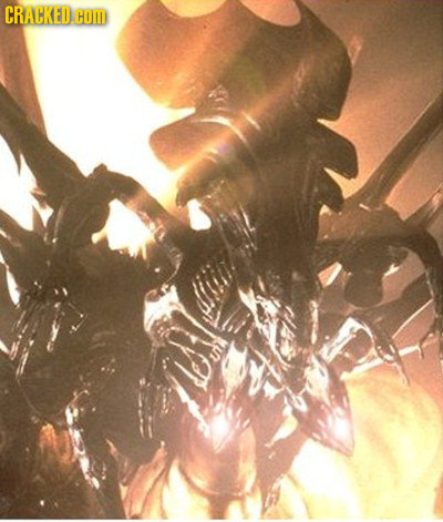 Boobs on Things That Don't Normally Have Boobs