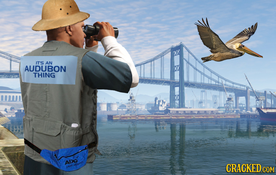 ITS AN AUDUBON THING Alo