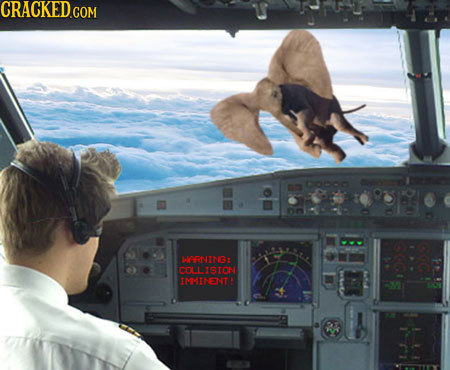 CRACKED.COM BNIDR: COLLSISTON IMVINENTA