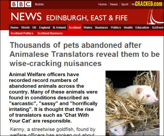 BBC WCRACKED.coM Mobile Home News Sport NEWS EDINBURGH, EAST & FIFE Home World UK England N ireland Scotland Wales Business Politics Health Education