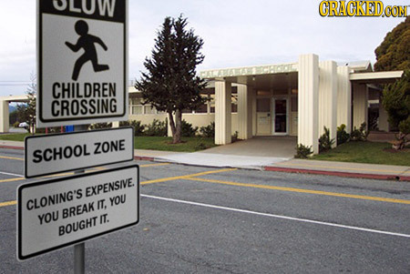 CRACKED CHILDREN CROSSING ZONE SCHOOL EXPENSIVE CLONING'S IT. YOU BREAK YOU IT. BOUGHT