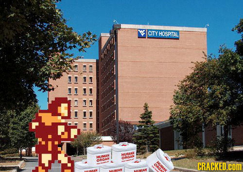 CITY HOSPITAL HUMLAN HUMAN ORGAN ORGAN Heewe CRACKED.cCOM HE/AAN HALAN