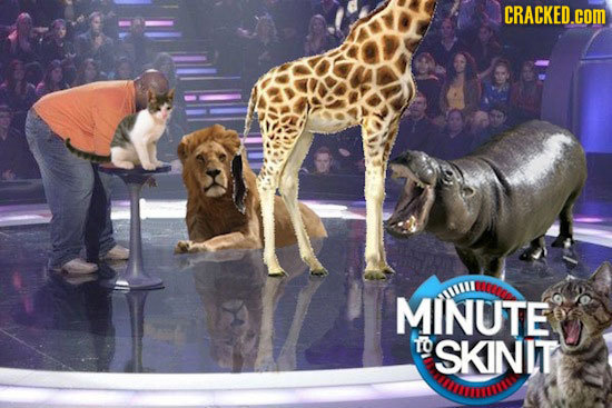 CRACKED.cOM tee MINUTE ULL TO SKINIT