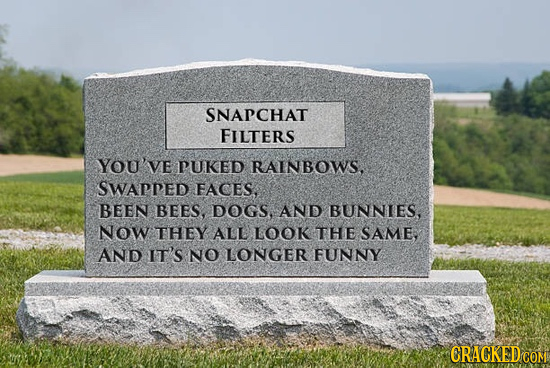 SNAPCHAT FILTERS YOU've PUKED RAINBOWS, SWAPPED FACES. BEEN BEES, DOGS. AND BUNNIES, Now THEY ALL LOOK THE SAME, AND IT'S NO LONGER FUNNY CRACKED COM