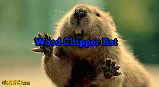 23 Honest Names For Everyday Products