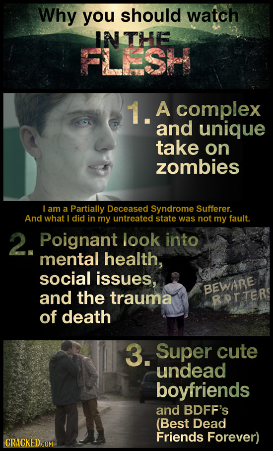 Why you should watch NTHE FLESH 1. A complex and unique take on zombies I am a Partially Deceased Syndrome Sufferer. And what I did in my untreated st