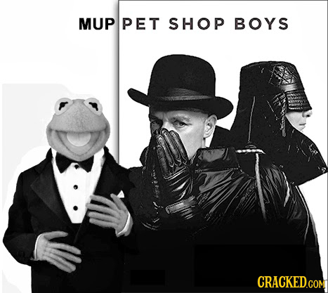 MUP PET SHOP BOYS CRACKED.COM