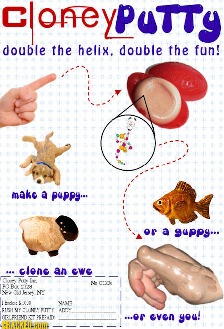 COneyPUTTy double the helix, double the fun! make a puppy... or a guppy... .clone an eWG Cloney Purty Inc, No CODs PO Box 2728 Neew Old Jersey, NY Eac