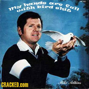 CECG hods Sull bird shit shit mar hith Mkkesldhins CRACKED.