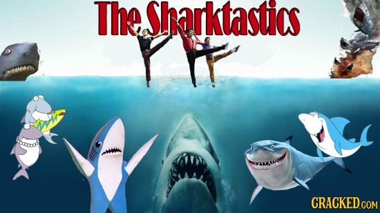 The Sharktastis A CRACKED COM 
