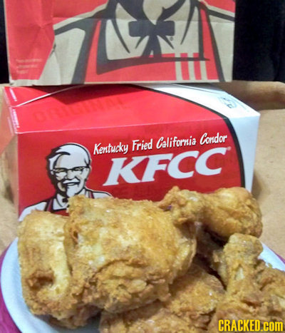 L Condor Fried California Kentucky KFCC CRACKED.COM