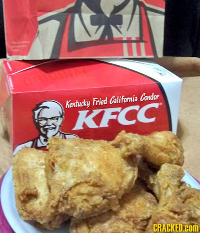 L Condor Fried California Kentucky KFCC CRACKED.COM 