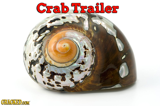 23 Honest Names For Everyday Products