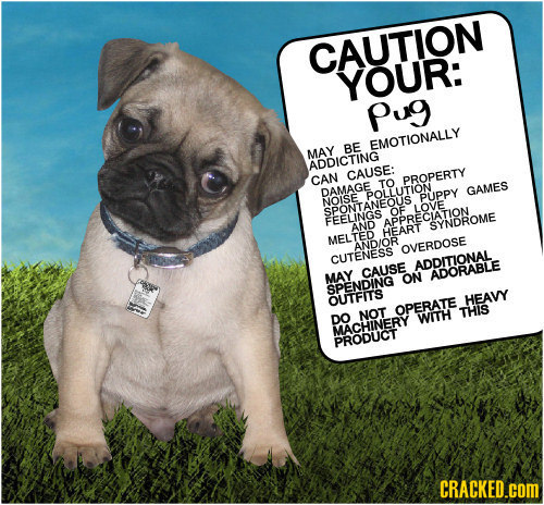 If Everything in Life Listed the Side Effects