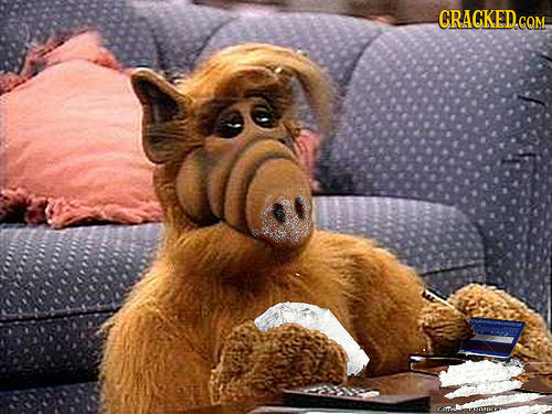 23 Common Sense Changes That Would Improve Famous TV Shows