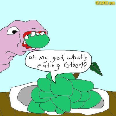 CRAHKED HOM oh My god, what's eatih g Gilvert? e