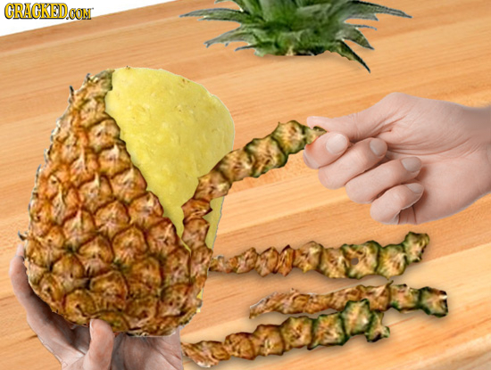 The 21 Biggest Flaws Nature Should Have Fixed By Now