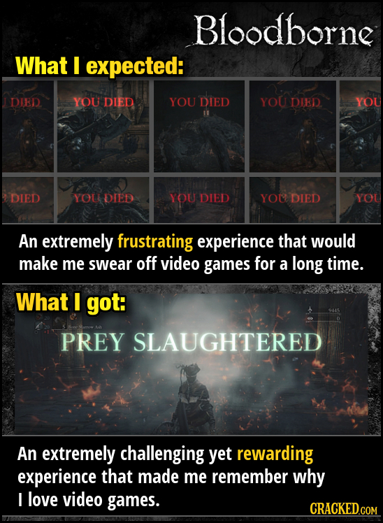 Bloodborne What I expected: DIED YOU DIED YOU DIED YOU DIED YOU DIED YOU DIED YOU DIED Yo DIED YOU An extremely frustrating experience that would make