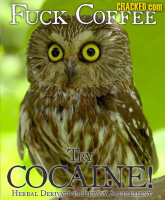 FUCK COFFEE CRACKED.COM TRY COCAINE! HERBAL DERIVATIVE DIETARY S PPEMENT 
