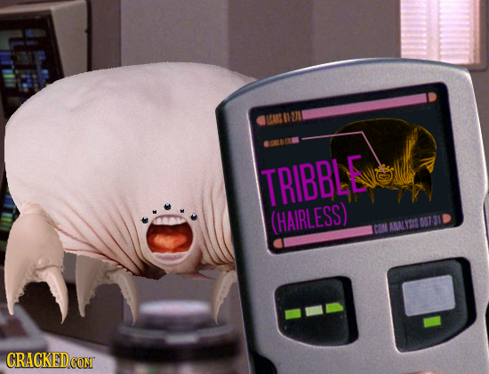 LCAS 1 TRIBBLE (HAIRLESS) 007 31 CON ANALIRS CRACKEDCOMT 